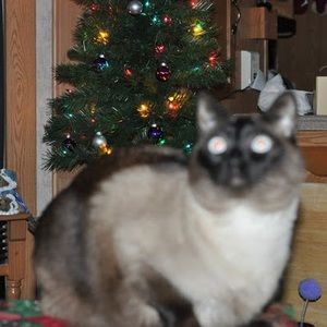 Meet your Posher, Rickie